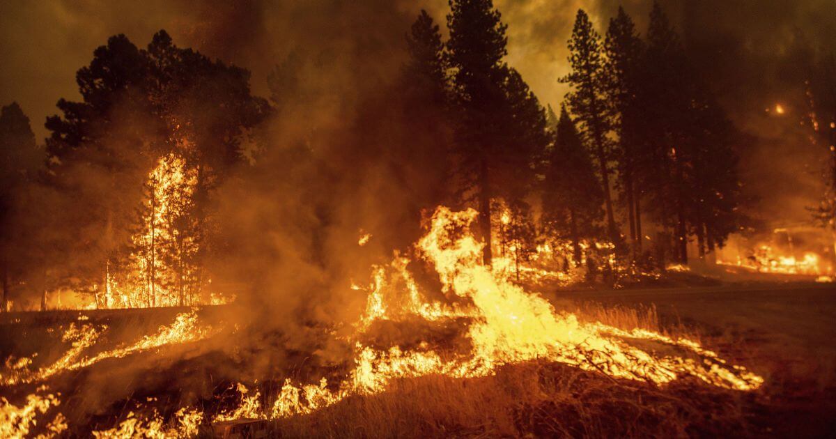 Как пожары привели к массовому вымиранию. 13 тысяч лет назад на территории США происходили лесные пожары. Фото.