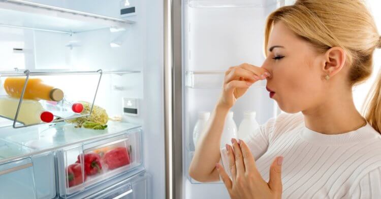 Почему обнюхивание пищи перед употреблением не спасет от отравления. Не всегда пропавшие продукты имеют неприятный запах. Фото.
