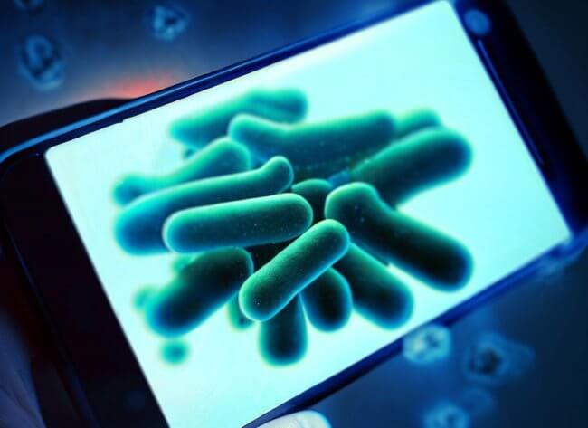 Какие мерзкие бактерии прямо сейчас живут на вашем смартфоне. Фото.