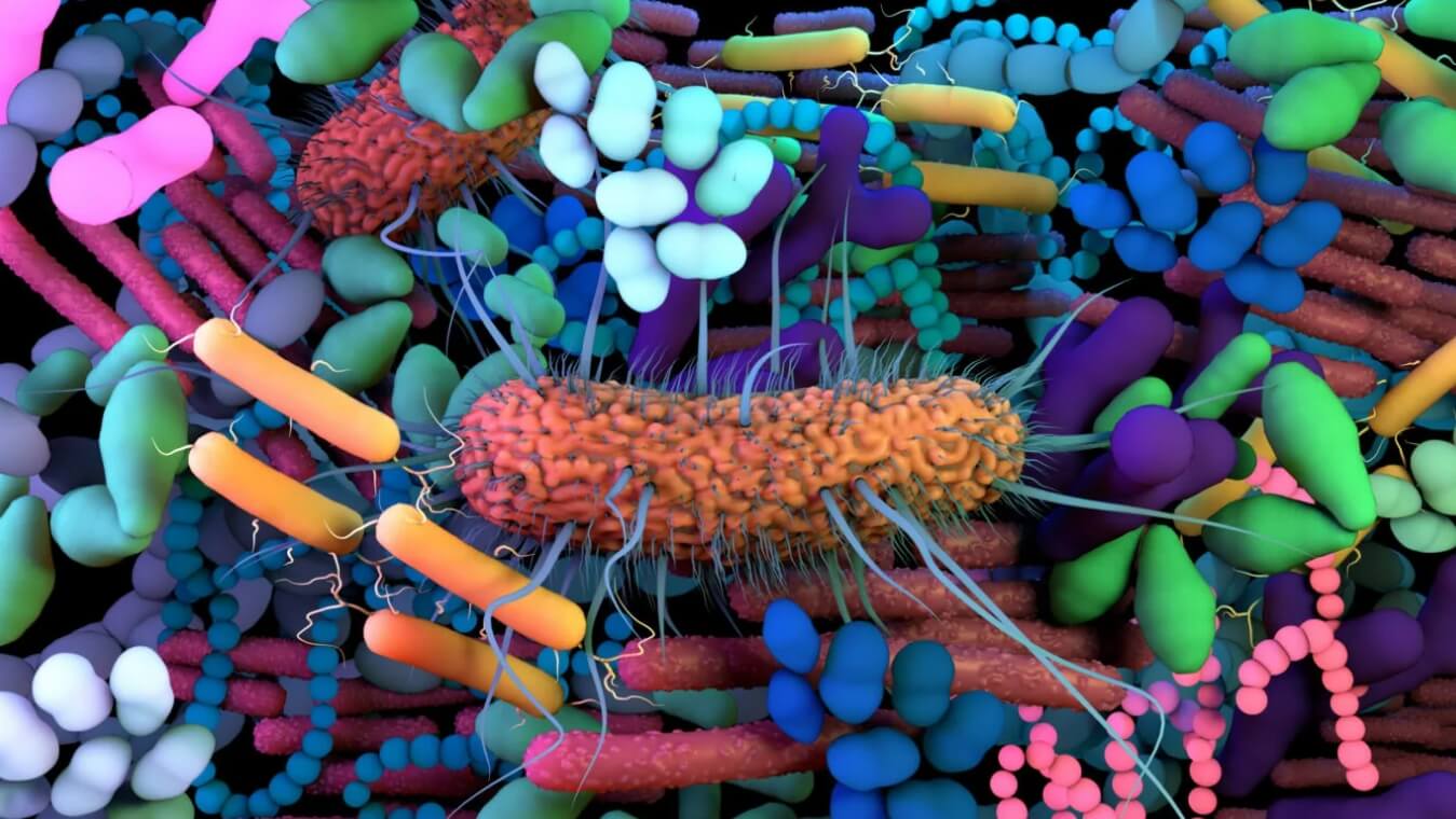 Для чего червяги едят кожу. Питаясь плотью самок, детеныши червяг развивают микробиом и готовятся ко взрослой жизни. Фото.