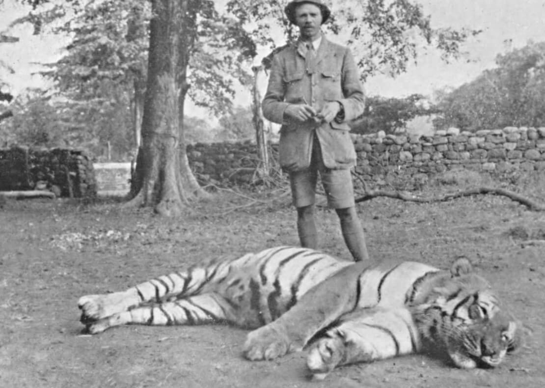 Охотник на зверей-людоедов Джим Корбетт. Джим Корбетт с убитой тигрицей. Фото.