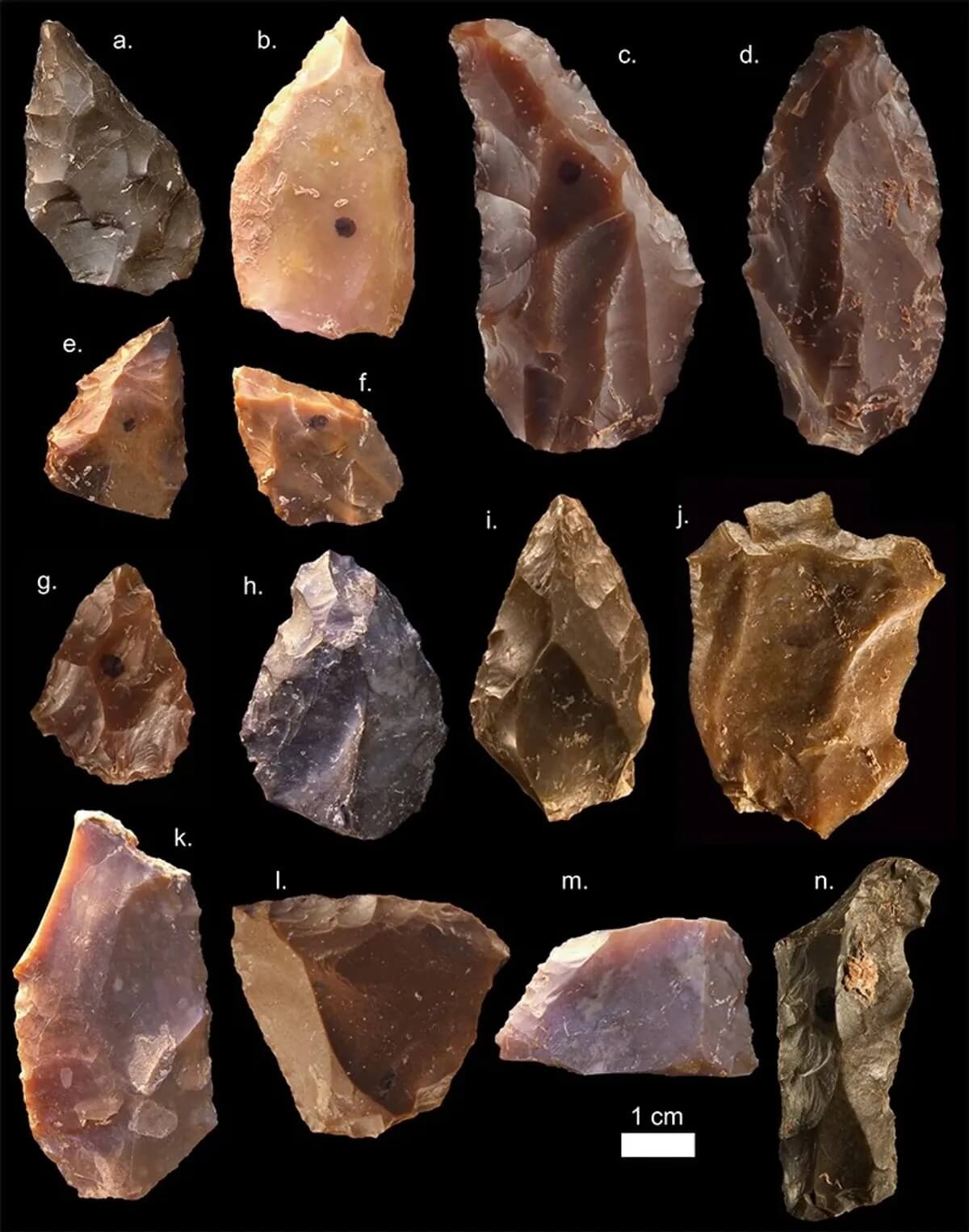 Развитие мозга человека в ходе эволюции. Инструменты каменного века, найденные в Джебель-Ирхуде. Фото.