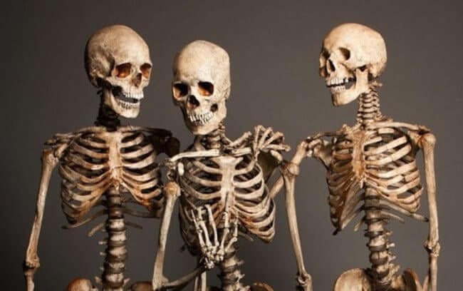 Самые древние кости людей найдены в Африке — они раскрывают тайны эволюции человека. Фото.