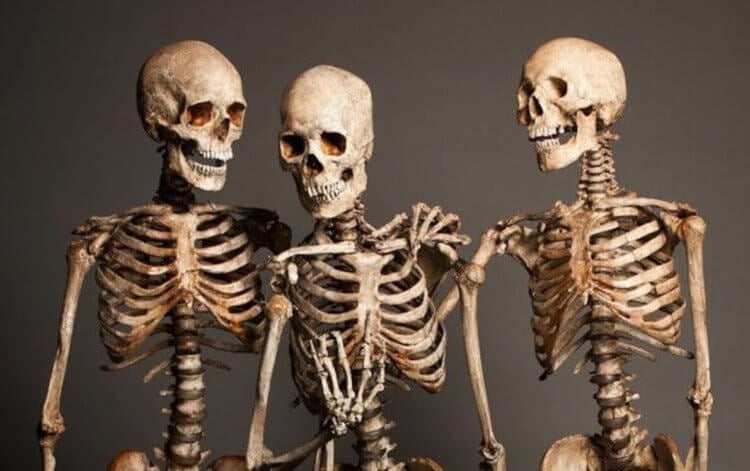 Самые древние кости людей найдены в Африке — они раскрывают тайны эволюции человека. У ученых есть доказательства того, что современные люди впервые появились в Африке. Фото.