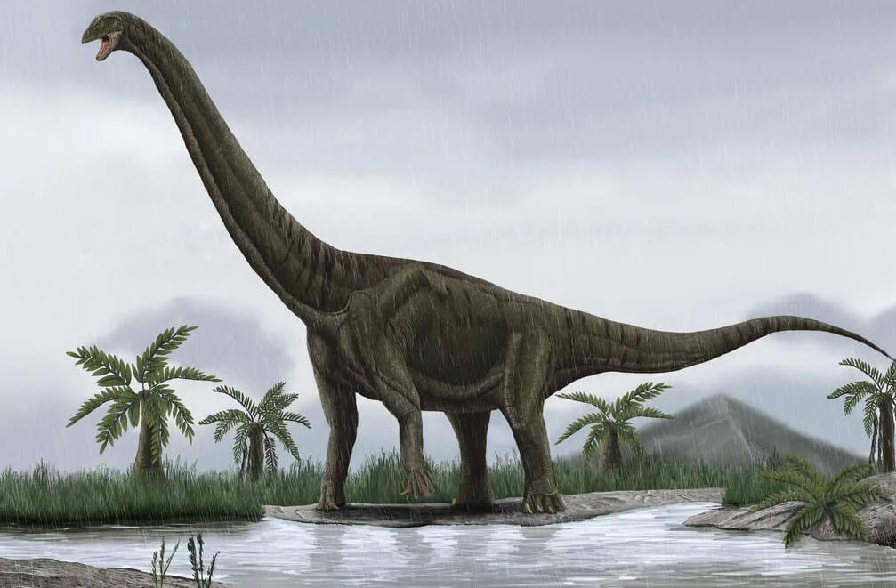 Мокеле-мбембе — динозавр живущий в Африке. Древний зауропод. Фото.