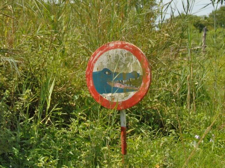 Опасность нильских крокодилов. Знак, предупреждающий, что недалеко может находиться крокодил-людоед Густав. Фото.