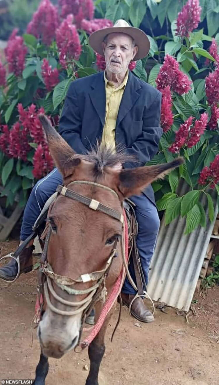 Хосе Паулино Гомес — долгожитель, проживший 127 лет. Хосе Паулино Гомес перестал ездить на лошади только после 120-летнего возраста. Фото.
