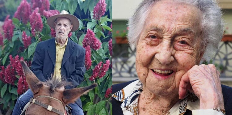 Самый старый человек в мире умер в 127 лет — кому принадлежит новый рекорд? Хосе Паулино Гомес и Мария Браньяс Морера — самые старые люди в мире. Фото.