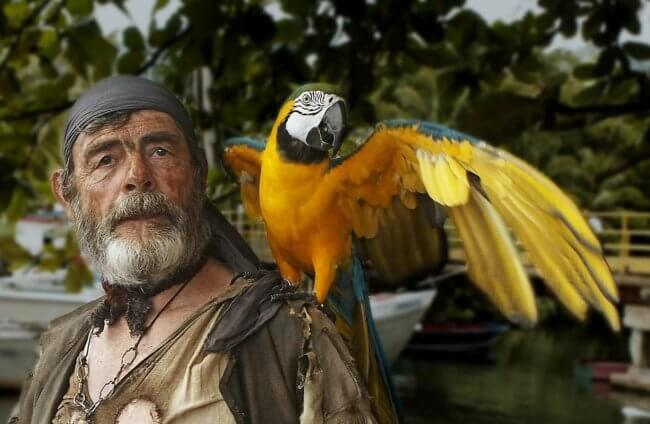 5 неожиданных фактов о пиратах — они были не такими, как показывают в фильмах. Фото.