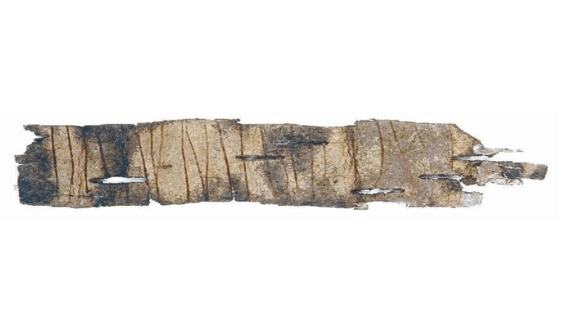 Берестяная грамота, обнаруженная в Смоленске в конце 60-х годов. Фото.