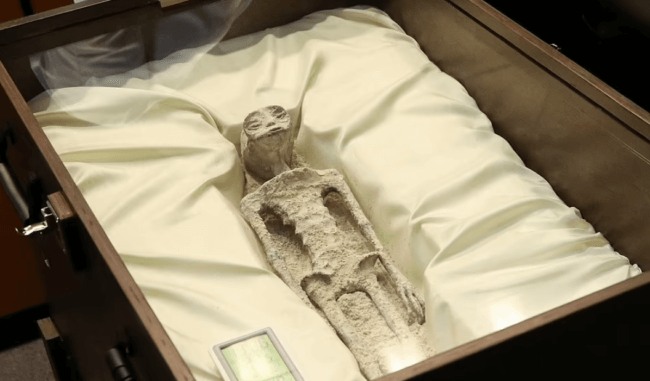 В Конгрессе Мексики показали мумии инопланетян? Фото.