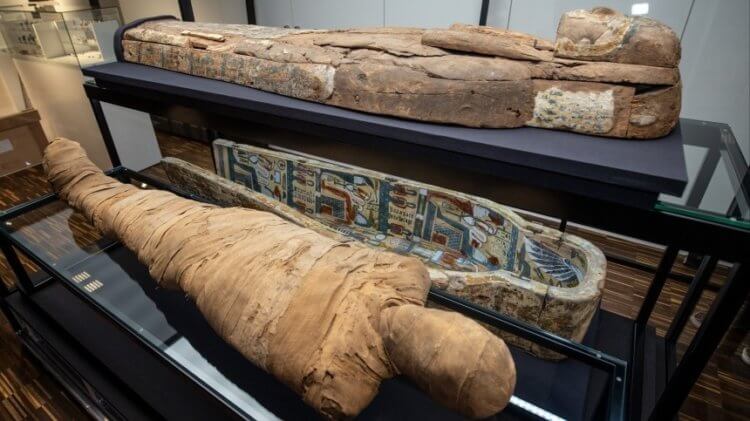 Как происходит естественная мумификация. Предположительно, первые мумии в Древнем Египте мумифицировались естественным образом. Фото.
