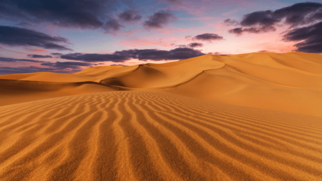 Почему пустыня Сахара последние 800 тысяч лет периодически покрывается пышной растительностью. Фото.