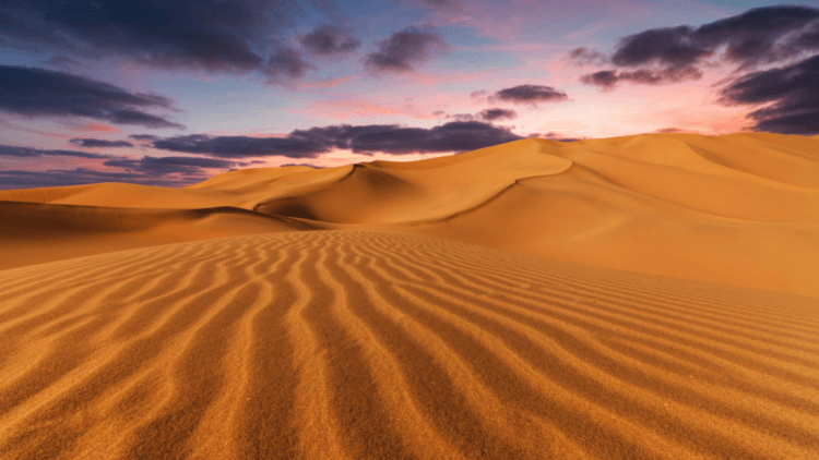 Почему пустыня Сахара последние 800 тысяч лет периодически покрывается пышной растительностью. Пустыня Сахара периодически превращается в «райский уголок», покрытый пышной растительностью. Фото.