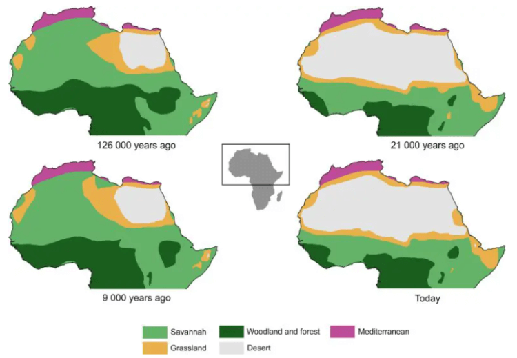 Почему в Сахаре изменяется. Схема изменения растительности в Сахаре в разные периоды времени. Фото.