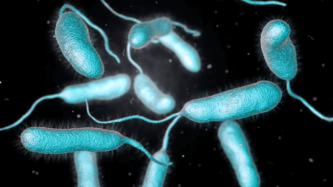 В США распространяются плотоядные бактерии, от которых погибли уже 5 человек. Фото.