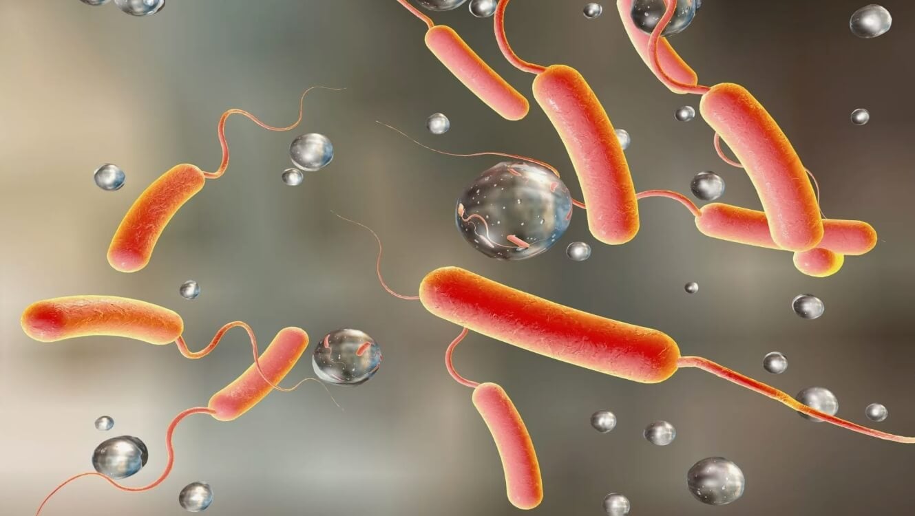 Бактерии уничтожающие пластик. Генная инженерия позволяет объединять особенности разных микробов. Фото.