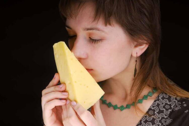 Почему сыр вызывает привыкание. Зависимость от сыра вызывает не только казеин. Фото.