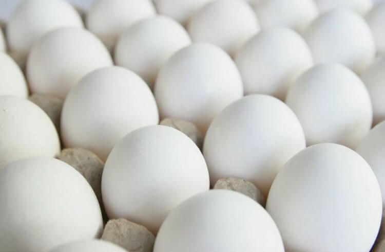 Темные пятна на скорлупе куриных яиц. На многих куриных яйцах есть неровности, и это тоже совершенно нормально. Фото.