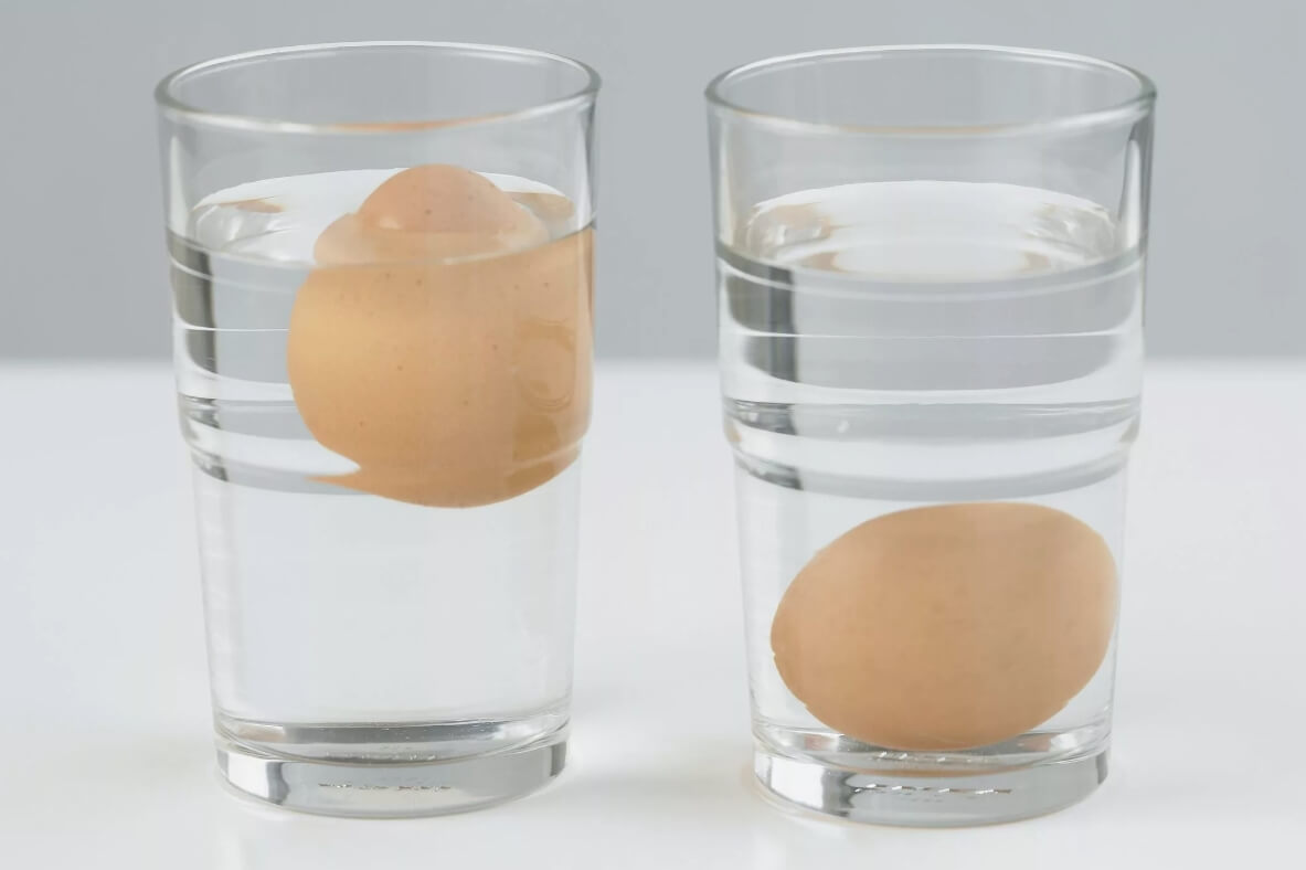 Как проверить яйцо на свежесть. Слева показано испорченное яйцо, а справа — свежее. Фото.