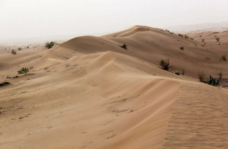 Из чего делают бетон. Пустынный песок гладкий, потому что на протяжении миллионов лет шлифуется ветром. Фото.