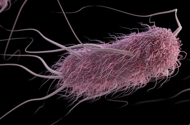 Бактерии на грязной обуви. 3D-визуализация кишечной палочки. Фото.