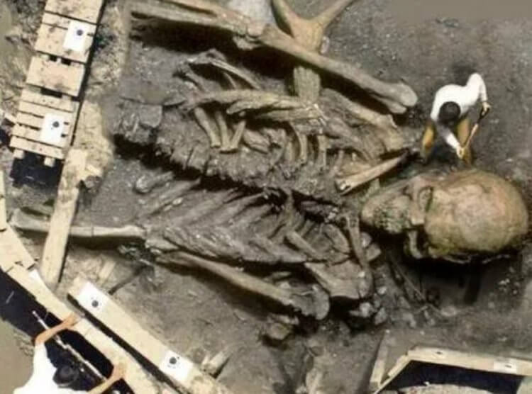 Древние великаны в истории Земли. Скелет великана, который якобы был найден в Индии. Фото.