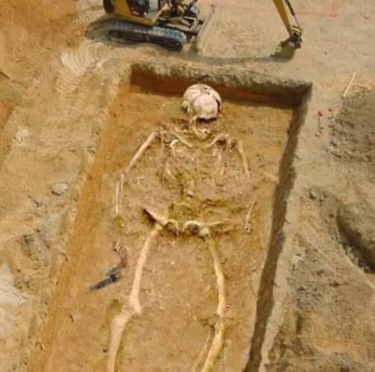 Древние великаны в истории Земли. Скелет древнего гиганта рядом с экскаватором — разумеется, это «фотошоп». Фото.