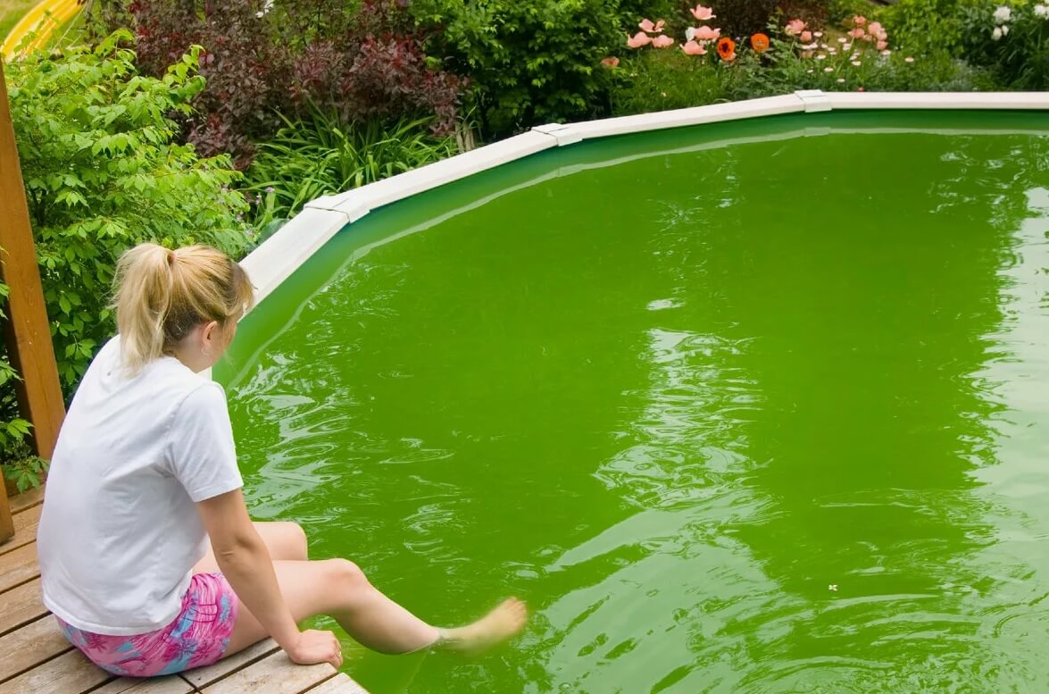 Как вода в бассейне влияет на волосы. Согласно некоторым источникам, волосы могут окраситься в зеленый цвет при наличии в воде водорослей. Фото.