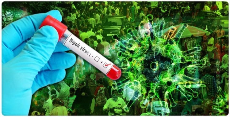 В Индии вспышка смертельно опасного вируса Нипах. Что нужно знать? В Индии зарегистрирована вспышка смертельно опасного вируса Нипах, обладающего пандемическим потенциалом. Фото.