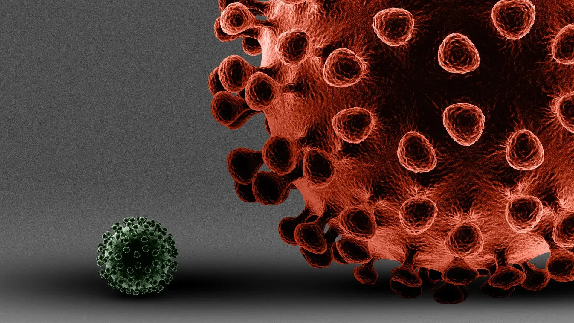 «Пирола» – новый вариант коронавируса. Всемирной организации здравоохранения (ВОЗ) внимательно наблюдают за вариантом BA.2.86 с августа 2023 года. Фото.