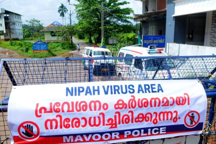 Вспышка вируса Нипах в Индии 2023. Южноиндийский штат Керала – эпицентр нынешней вспышки вируса Нипах. Фото.