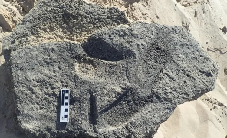 Следы самой древней обуви. Найденные следы могли быть оставлены 148 000 лет назад. Фото.