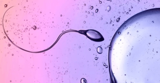 Ученые обнаружили, что сперматозоиды нарушают один из главных законов физики. Фото.