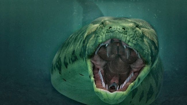 Самая большая змея на Земле питалась крокодилами. Фото.