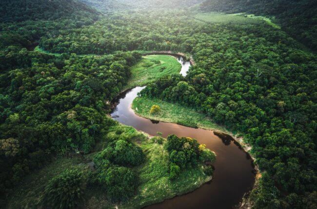 В лесах Амазонки скрываются тысячи древних памятников — ученые уже нашли одну деревню. Фото.