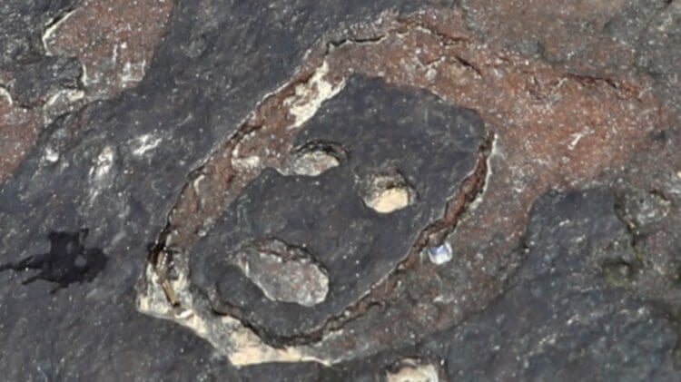 Лица из камня в Амазонке. Испуганное лицо на одном из камней. Фото.