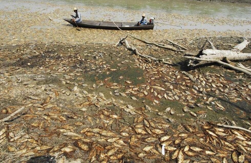 Почему высыхают реки на Земле. Ученые крайне озадачены высыханием реки Амазонка. Фото.
