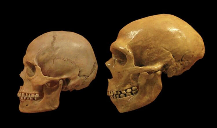 Древние люди не хоронили мертвых — они делали с ними нечто очень дикое. Существует множество способов захоронения людей, но 15 000 лет назад с мертвыми людьми обходились по-дикому. Фото.