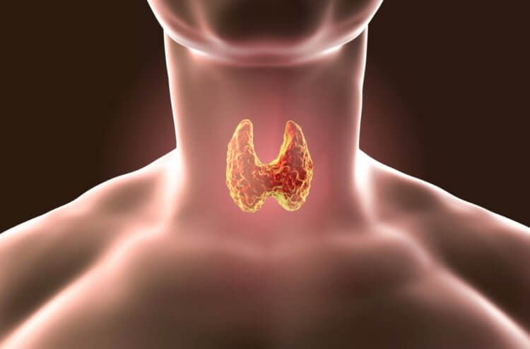 Проверка на болезни щитовидной железы. При возникновении проблем с щитовидкой необходимо обратиться к эндокринологу. Фото.