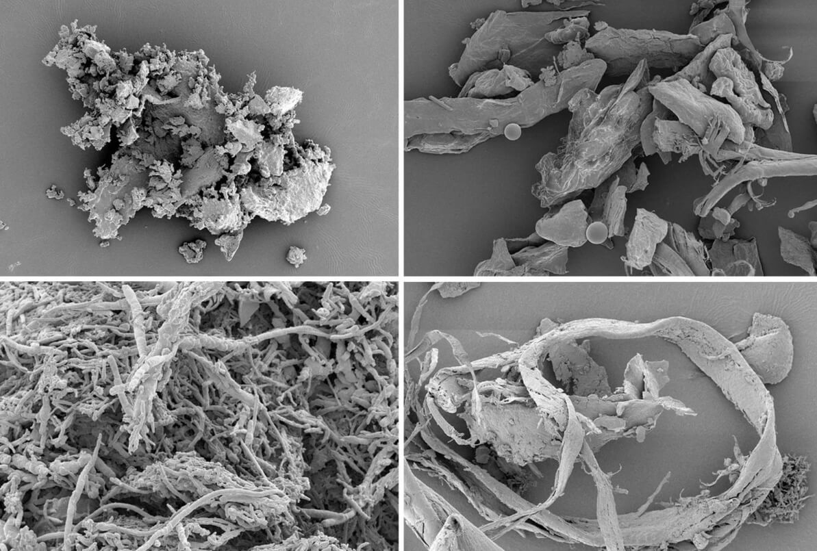 Из чего состоит пыль. Частицы пыли под микроскопом. Фото.