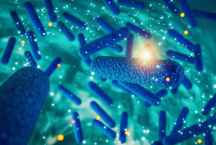 Как выживают микробы в природе. Прямо сейчас, в миллиардах точках нашей планеты, происходят битвы на микроскопическом уровне. Фото.