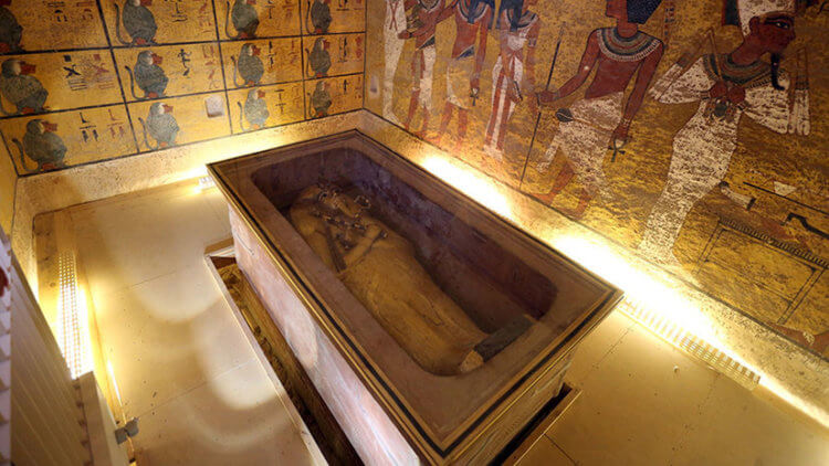 Тутанхамон разбился на колеснице. В гробнице Тутанхамона было обнаружено много спиртных напитков. Фото.