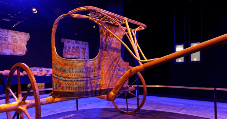 Тутанхамон разбился на колеснице. В Гробнице Тутанхамона были обнаружены колесницы. Фото.
