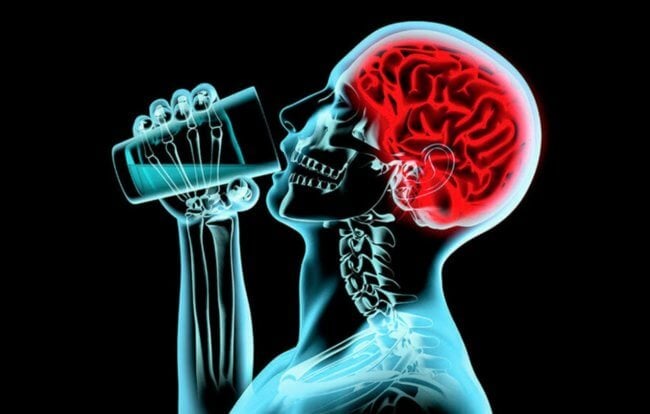 Сколько дней нужно не пить алкоголь, чтобы мозг начал восстанавливаться. Фото.