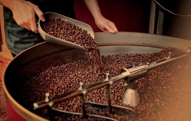 Безопасный способ производства декафа. При производстве декафа используются настоящие кофейные зерна. Фото.