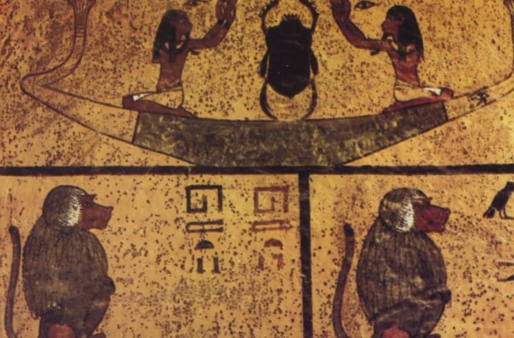Обезьяны в Древнем Египте. Изображения обезьян на стенах сооружений Древнего Египта. Фото.