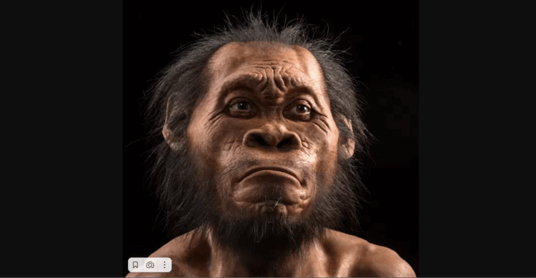 Когда Homo sapiens покинули Африку? Другие виды Homo сильно отличались от нас: Homo naledi с большим мозгом бродил по лесистым лугам Южной Африки, а миниатюрные Homo floresiensis и Homo luzonensis жили, дышали и умерли на островах Флорес и Лусон в Индонезии и на Филиппинах соответственно. Фото.