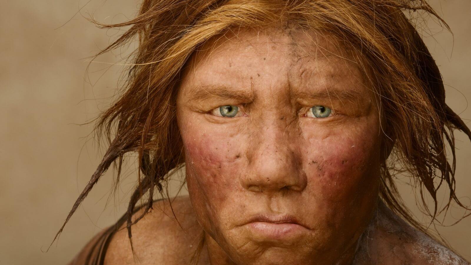 Когда Homo sapiens покинули Африку? Неандерта́лец, человек неандертальский, в советской литературе также носил название палеоантроп — вымерший или, по другой гипотезе, ассимилированный представитель рода людей. Фото.
