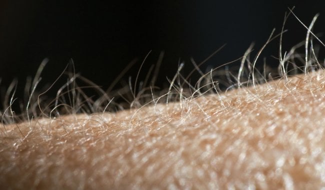 Открыто новое свойство волос на теле человека — это часть наших органов чувств. Фото.